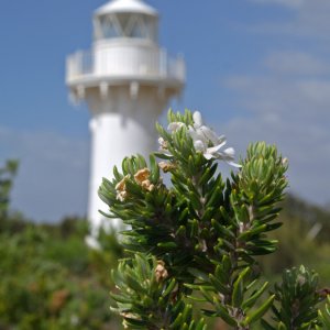 Ulladulla Lighthouse