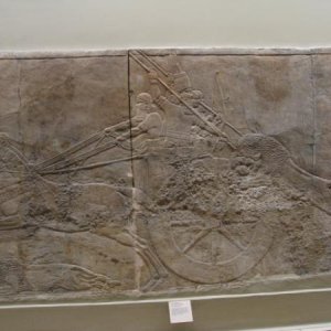 Assyrischer Vries Brit. Museum