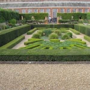 Hampton court Gardens