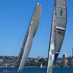 Training der zweier Hochseejachten @ Sydney Harbour