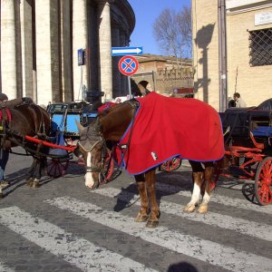 Pferdekutschen am Petersplatz