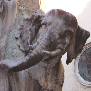 Berninis kleiner Elefant