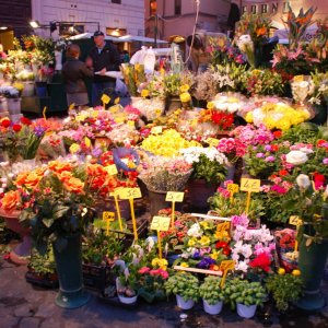 Blumenstand auf dem Campo di Fiori