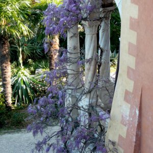 Im Garten der Villa Hanbury bei Ventimiglia
