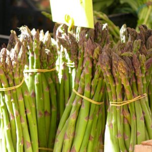 Campo di Fiori