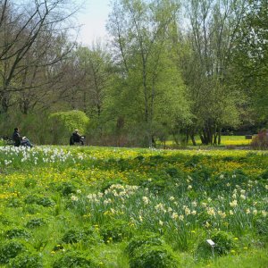 Hamburg Botanischer Garten