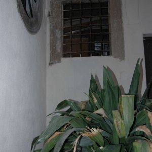 Innenhof, Apartment in Rom