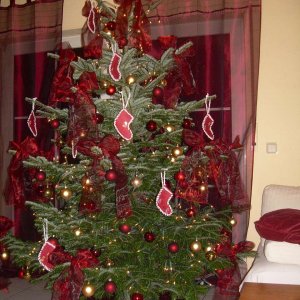 Weihnachtsbaum 2008