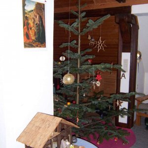 Unser Christbaum 2007