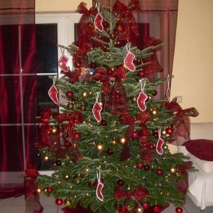 Weihnachtsbaum 2008