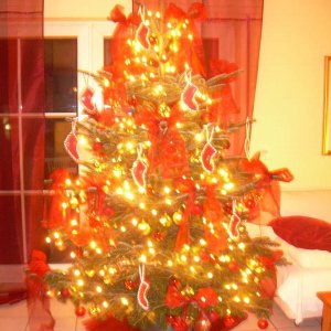 Weihnachtsbaum 2008