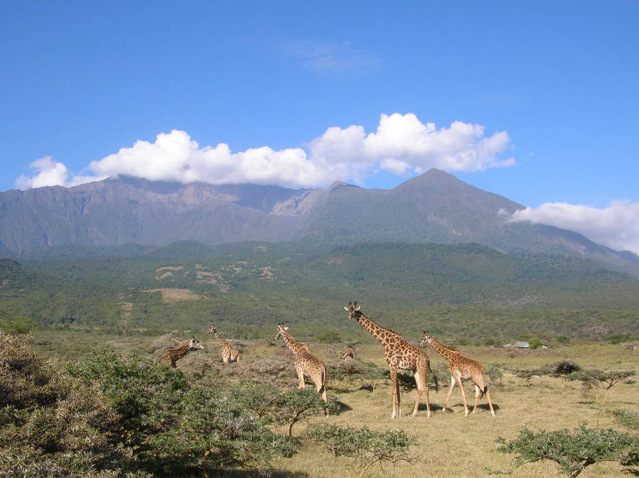 Arusha NP mit Mount Meru - Tansania