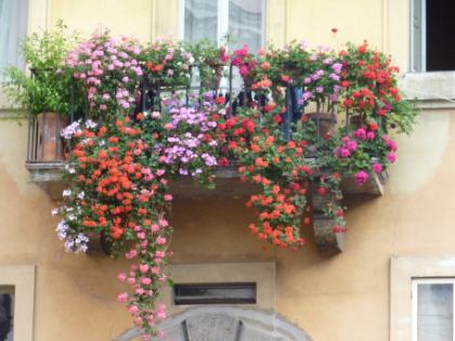 Balkon in Trastevere