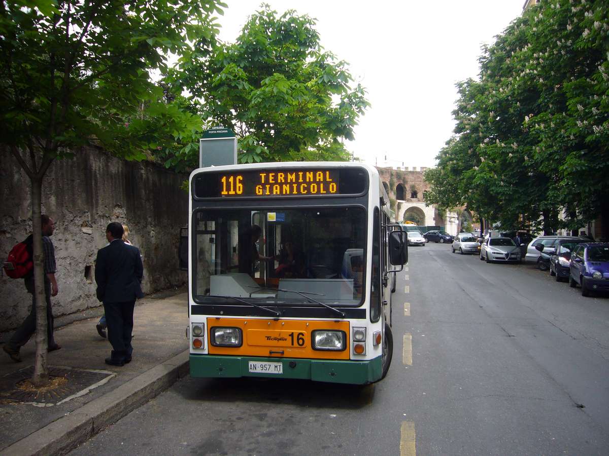 Buslinie 116 Elektrobus