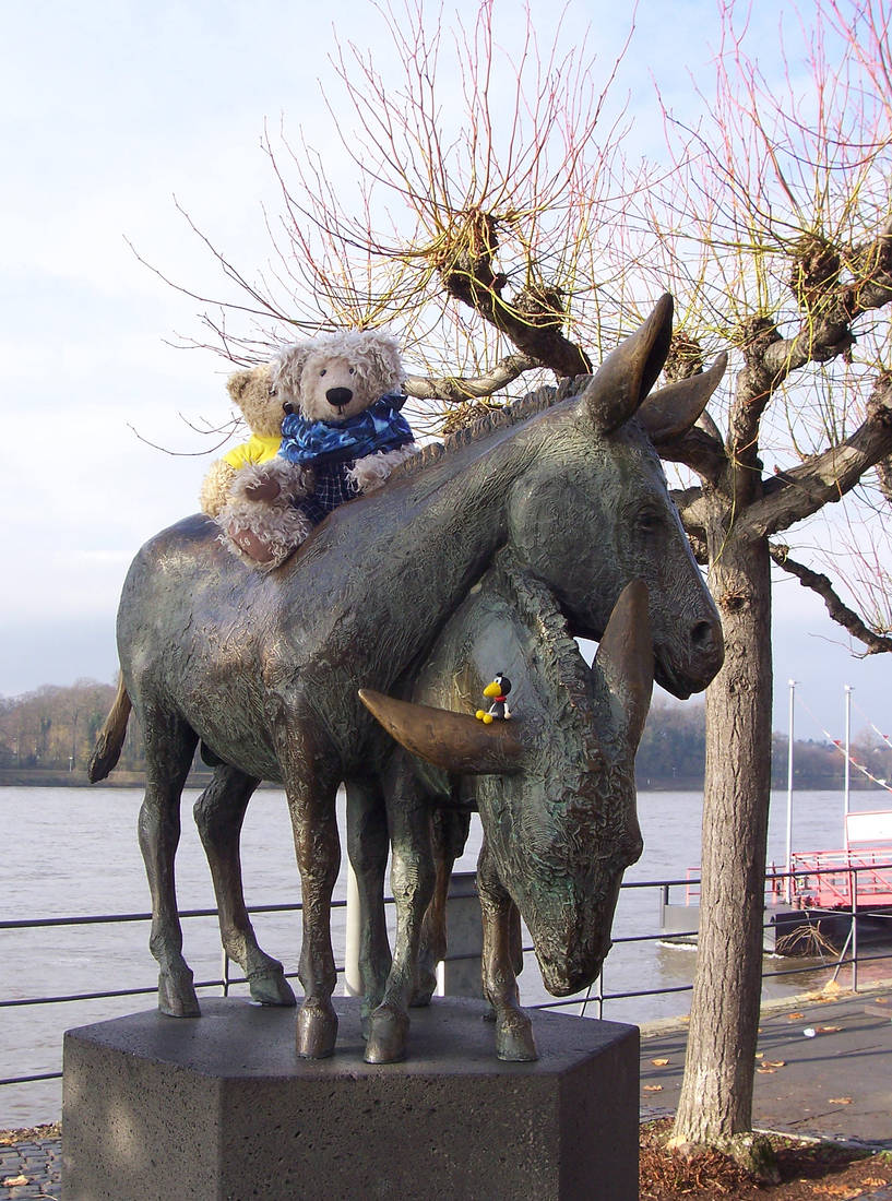 Drachenfels-Esel am Rheinufer