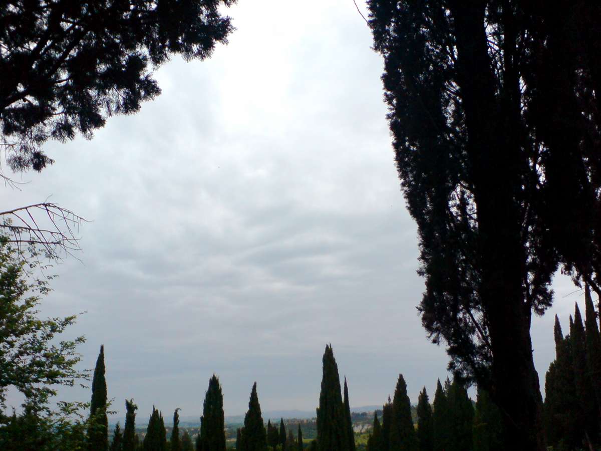 Landschaft bei Monte Oliveto Maggiore