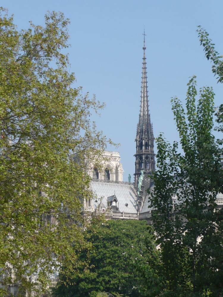 Notre Dame am Morgen