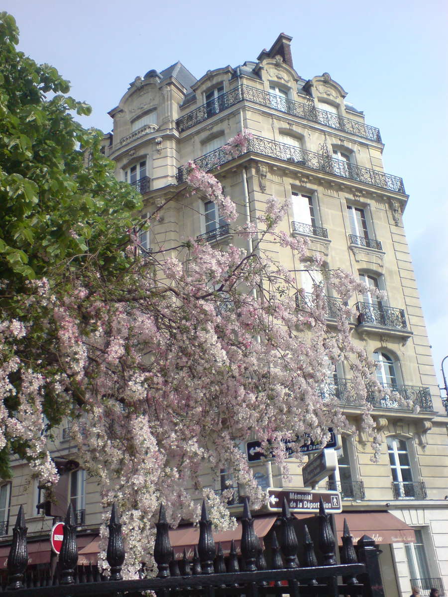 Paris im April 09