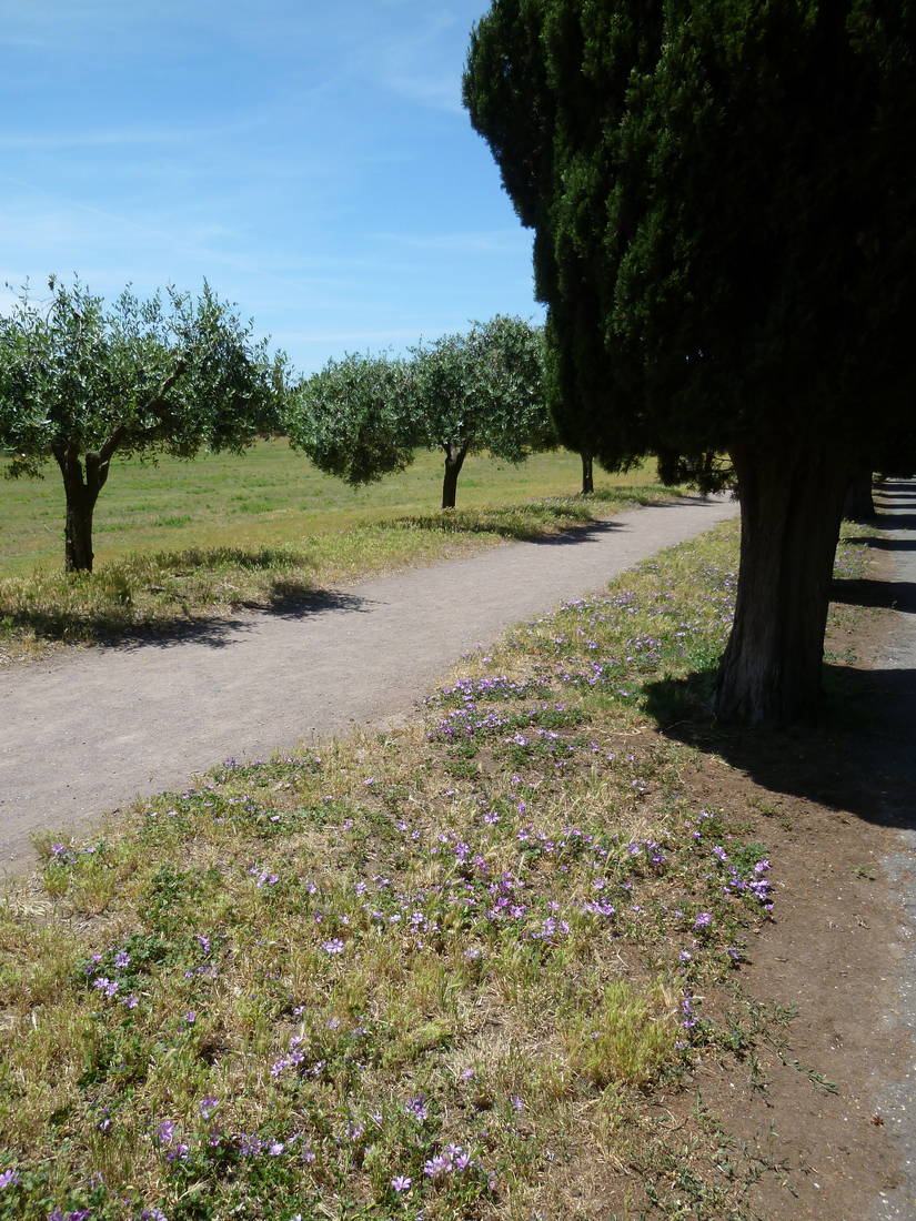 Via Appia Antica, Callisto-Katakomben