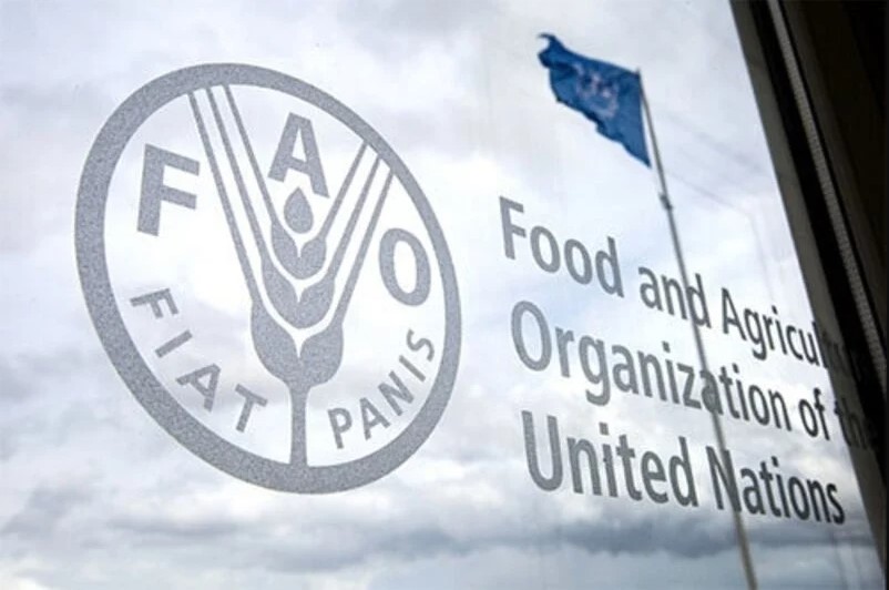 www.fao.org