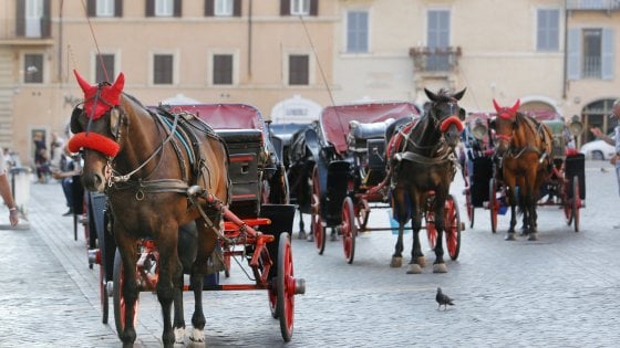 roma.repubblica.it